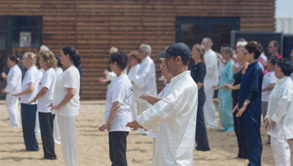 Celebrating 10 years of DHQA and 30 years of Fei Wushu Nederland